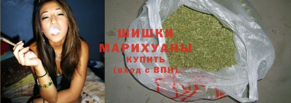 тгк Володарск