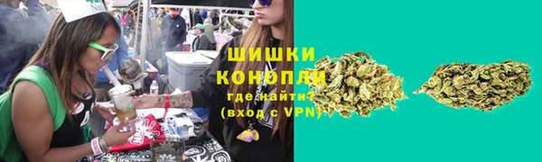 тгк Володарск