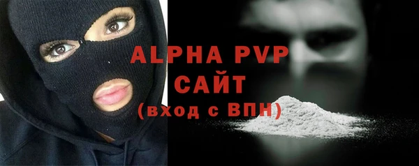 СК Волоколамск