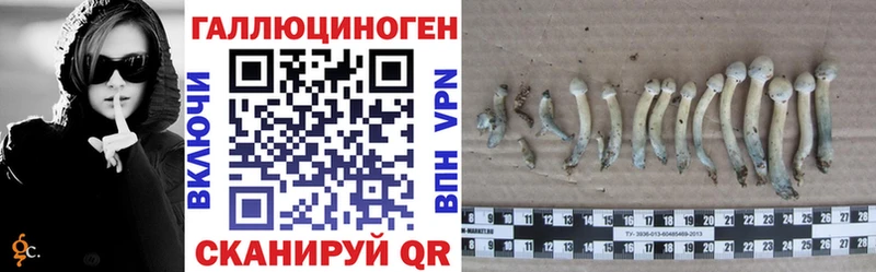 omg ТОР  Волосово  Псилоцибиновые грибы Psilocybe 