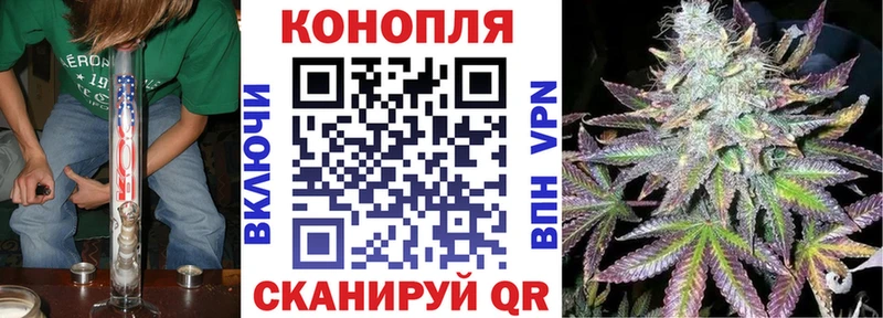 даркнет сайт  Волосово  МАРИХУАНА сатива 